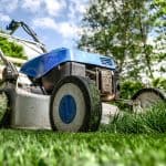 DYI Lawn mowing vs profession lawn service