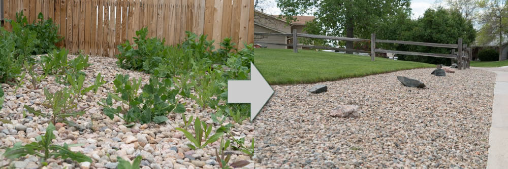 Weed Killer in Rock / Mulch Beds: before and after