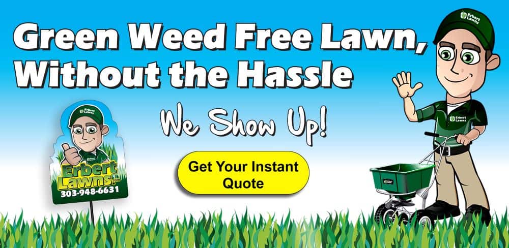 Green weed-free lawn without the hassle.