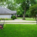 Lawn Mowing and Trimming