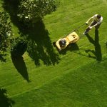 Lawn Care Basics