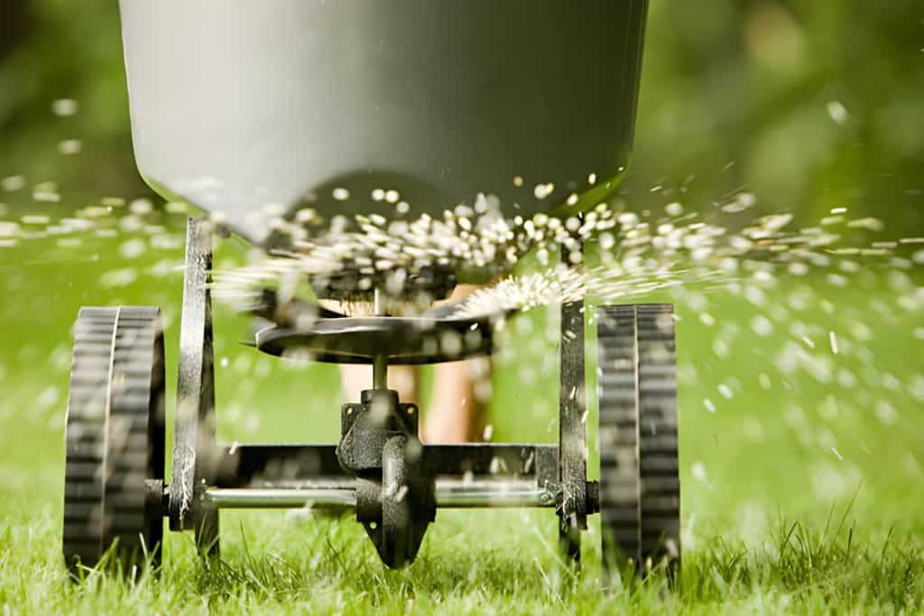 Lawn Fertilization Guide