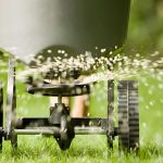 Lawn Fertilization Guide