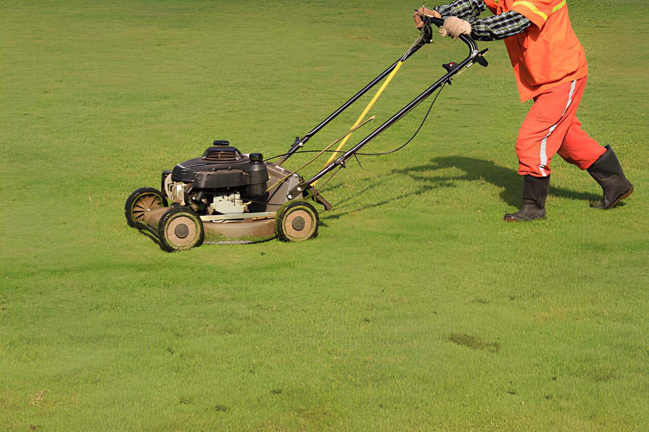 Lawn Aeration Methods