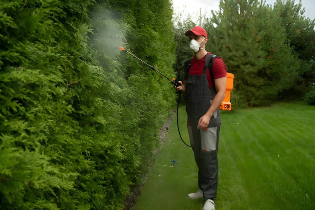 Pest Management in Lawns