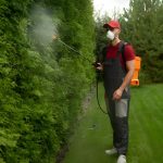 Pest Management in Lawns