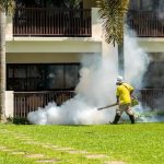 Lawn Disease Prevention