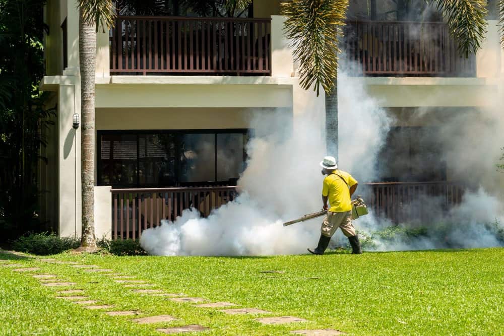 Lawn Disease Prevention