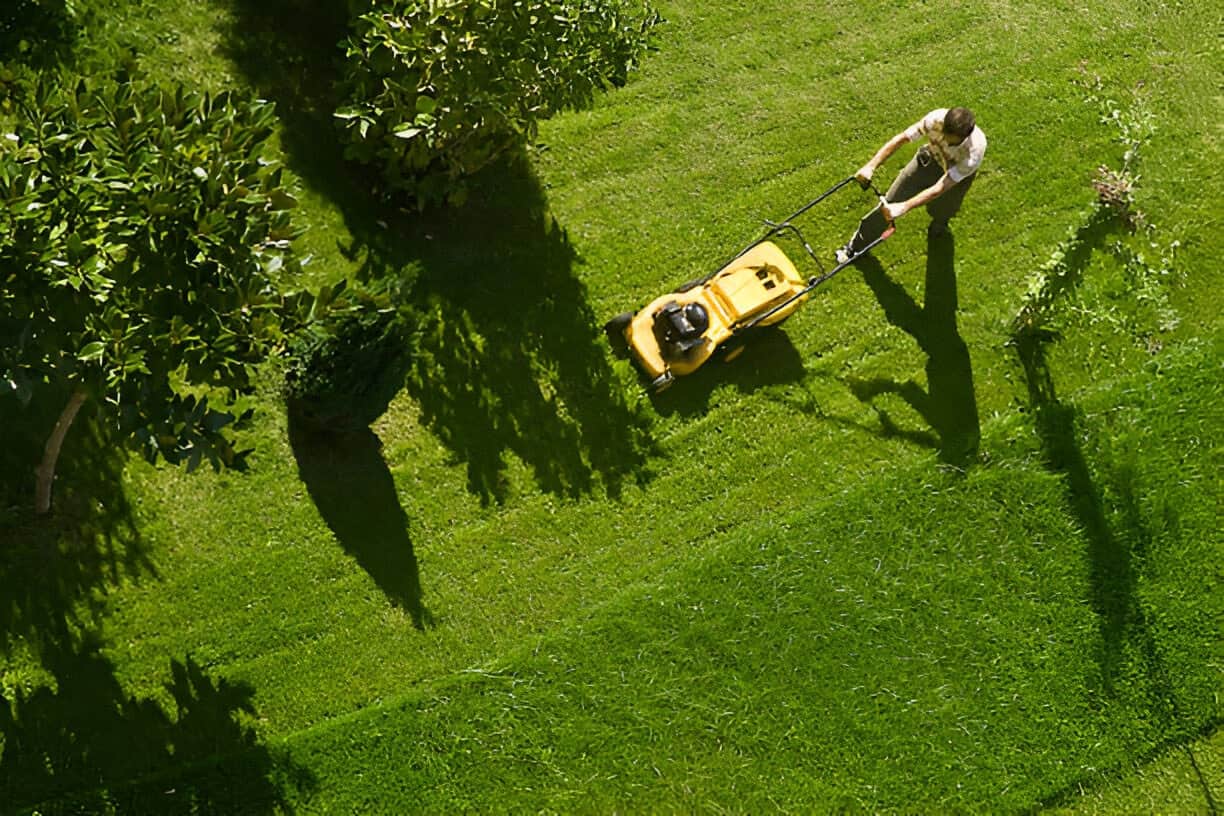 Seasonal Lawn Care